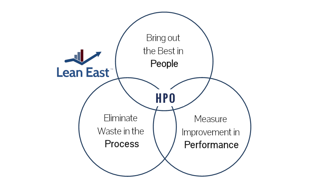 Developing High-Performing Organizations (HPOs)